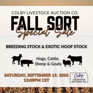2026.9.19 Fall Sort